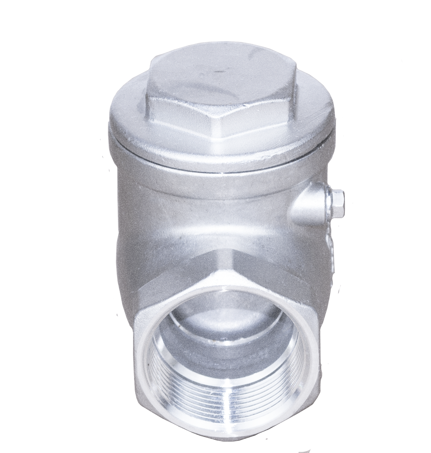 Stainless Steel Threaded Swing Check Valve - view 5